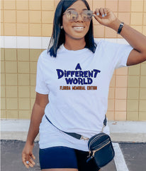 Different World (The FMU addition)